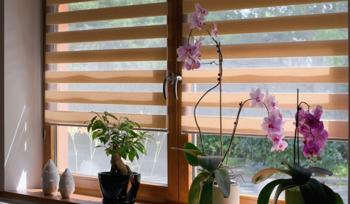 Window Treatment